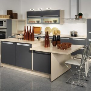 kitchen (252/345)